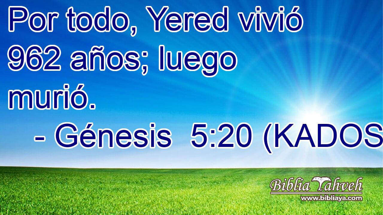  Por todo, Yered vivió 962 años; luego murió. 