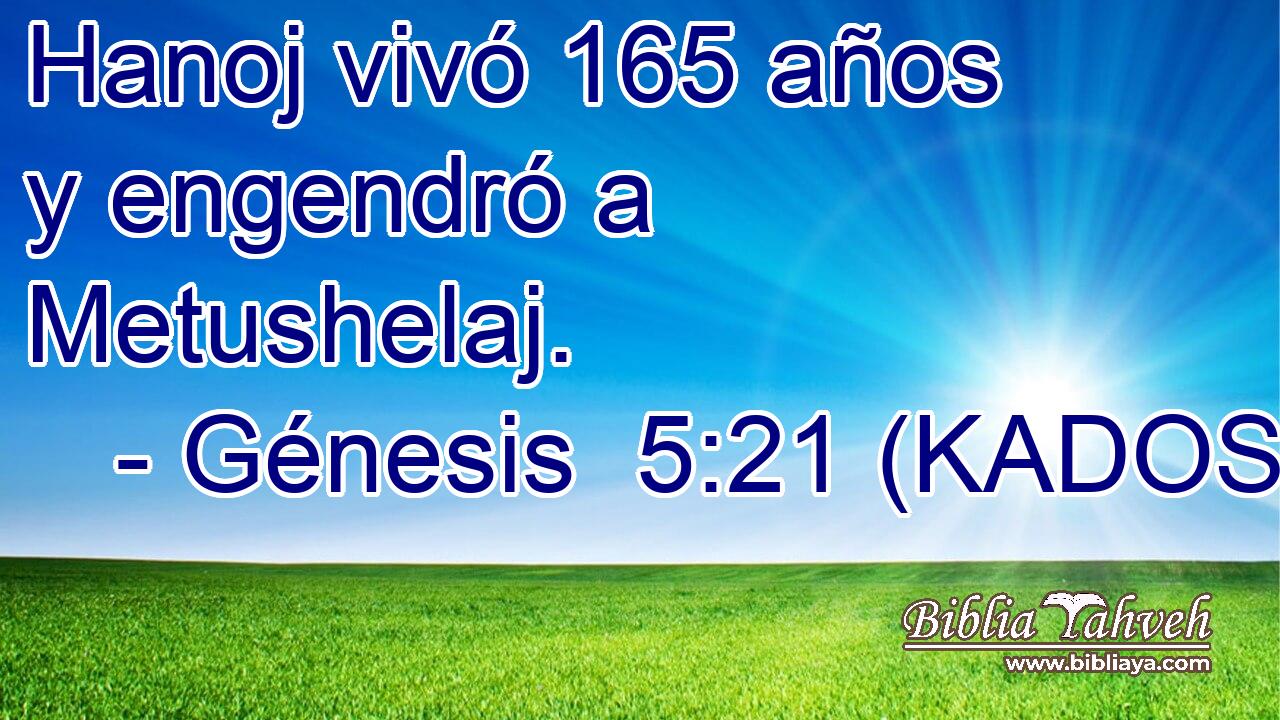  Hanoj vivó 165 años y engendró a Metushelaj. 