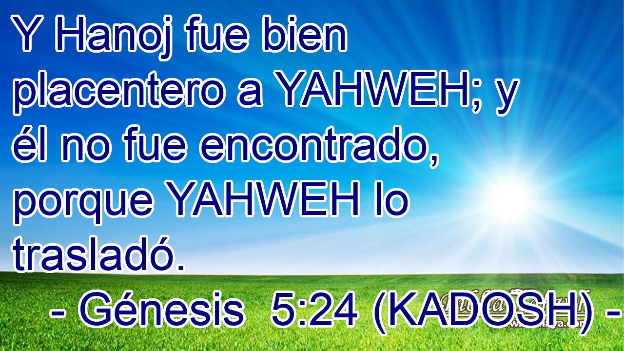  Y Hanoj fue bien placentero a YAHWEH; y él no fue encontrado, porque YAHWEH lo trasladó. 