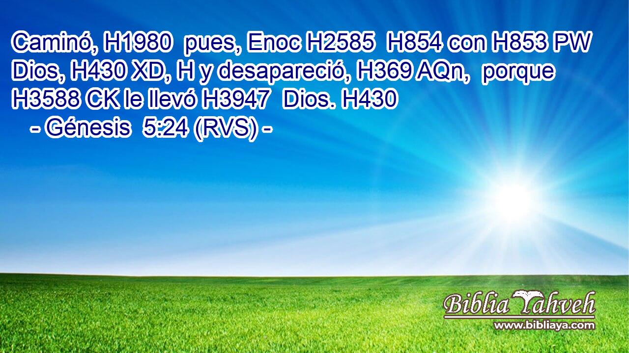 Caminó, H1980  pues, Enoc H2585  H854 con H853 PW Dios, H430 XD, H y desapareció, H369 AQn,  porque H3588 CK le llevó H3947  Dios. H430  