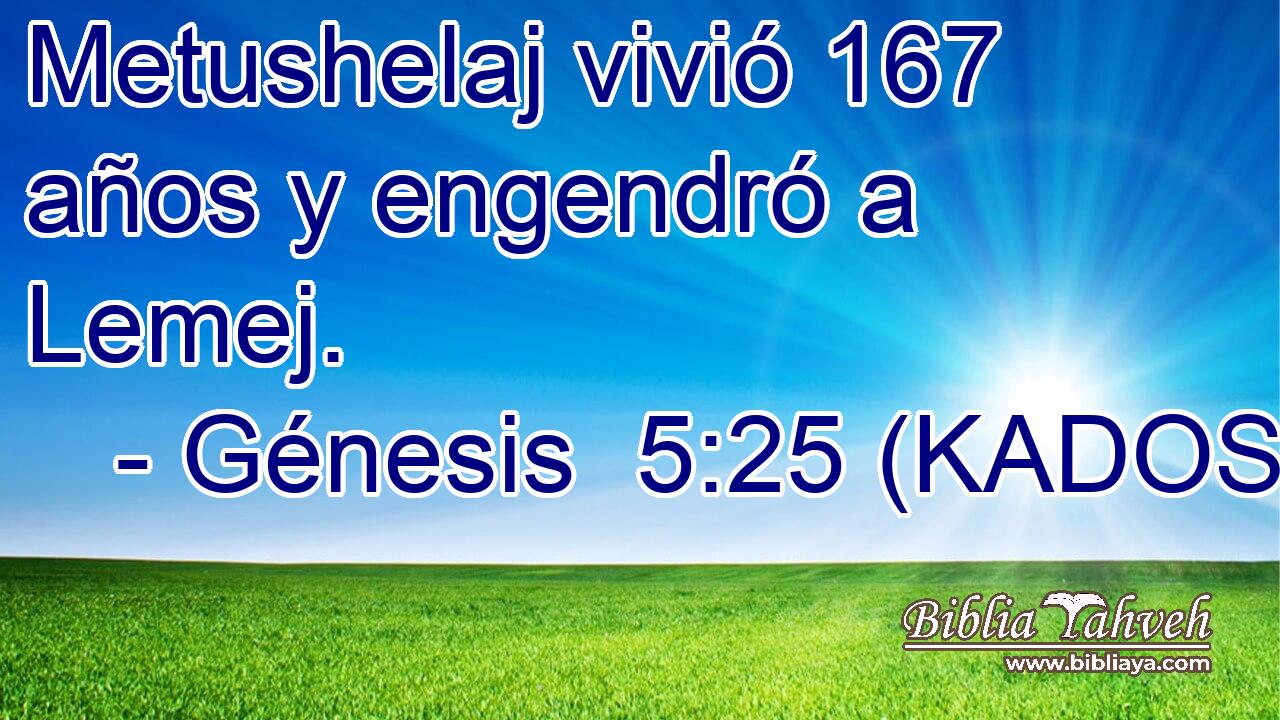  Metushelaj vivió 167 años y engendró a Lemej. 