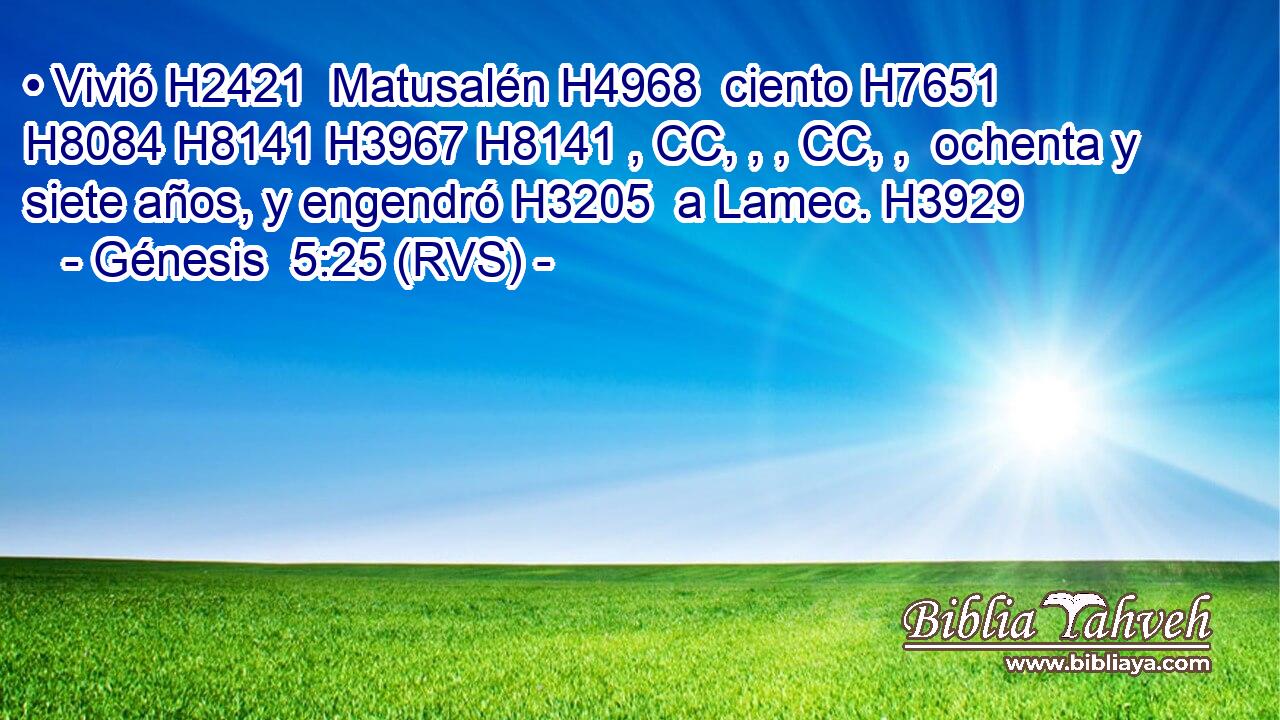 • Vivió H2421  Matusalén H4968  ciento H7651 H8084 H8141 H3967 H8141 , CC, , , CC, ,  ochenta y siete años, y engendró H3205  a Lamec. H3929  