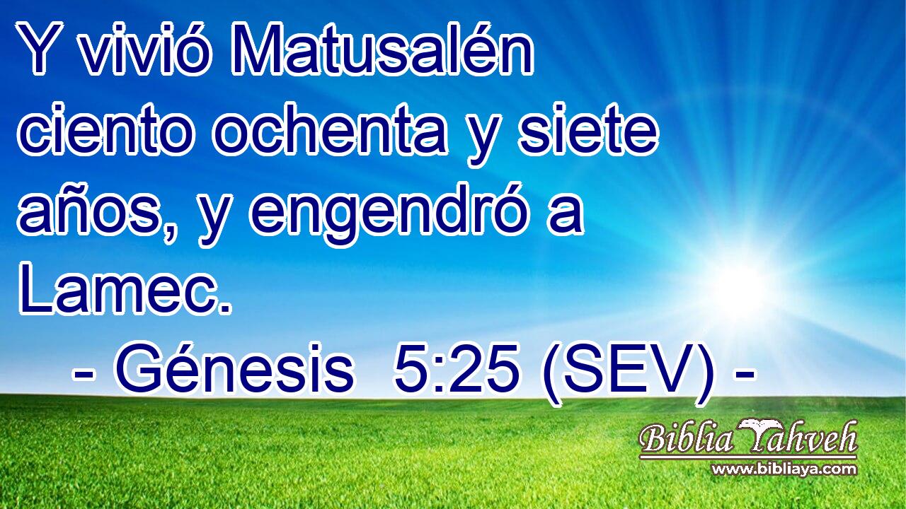Y vivió Matusalén ciento ochenta y siete años, y engendró a Lamec.