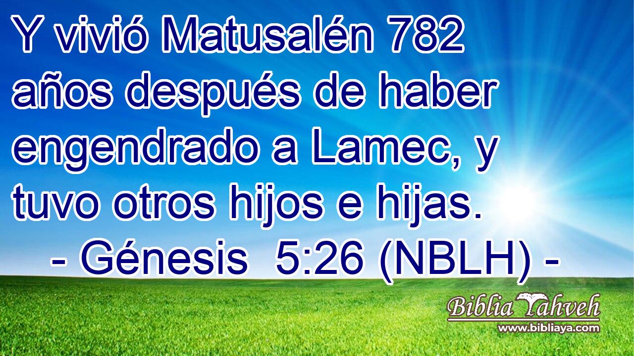  Y vivió Matusalén 782 años después de haber engendrado a Lamec, y tuvo otros hijos e hijas. 