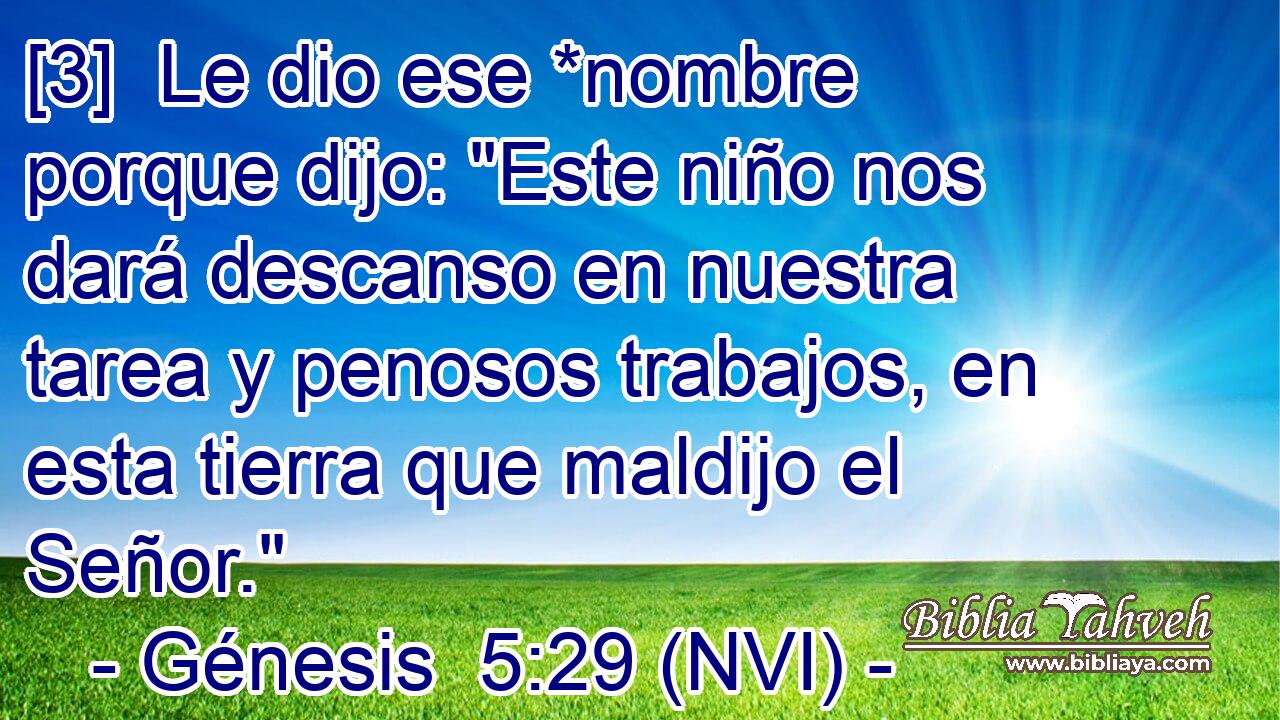 [3]  Le dio ese *nombre porque dijo: 