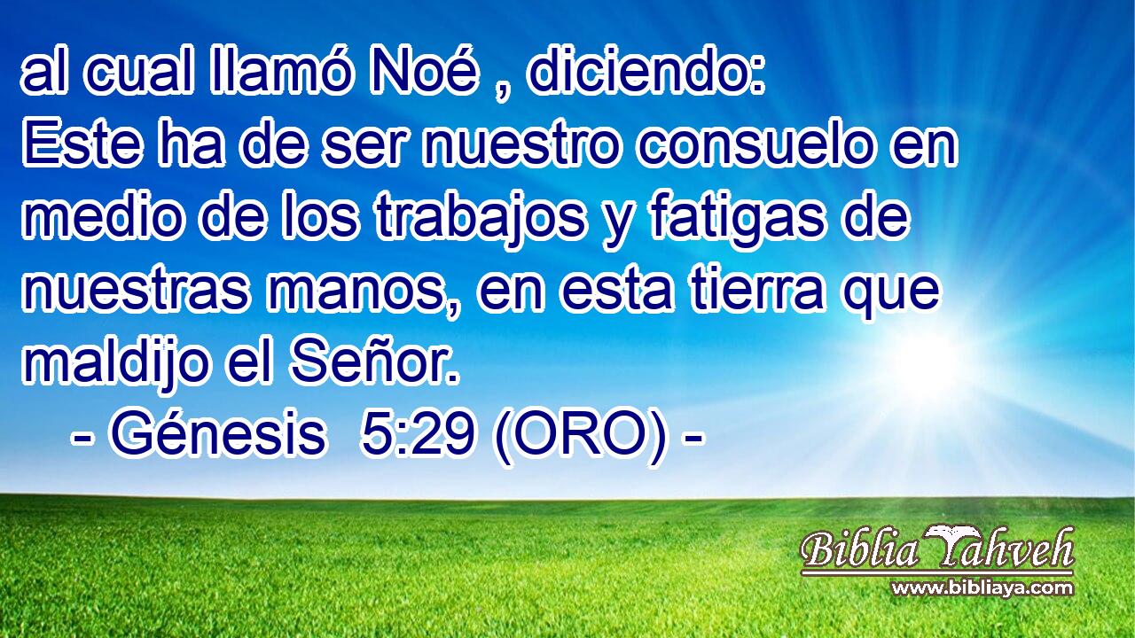  al cual llamó Noé , diciendo: Este ha de ser nuestro consuelo en medio de los trabajos y fatigas de nuestras manos, en esta tierra que maldijo el Señor. 