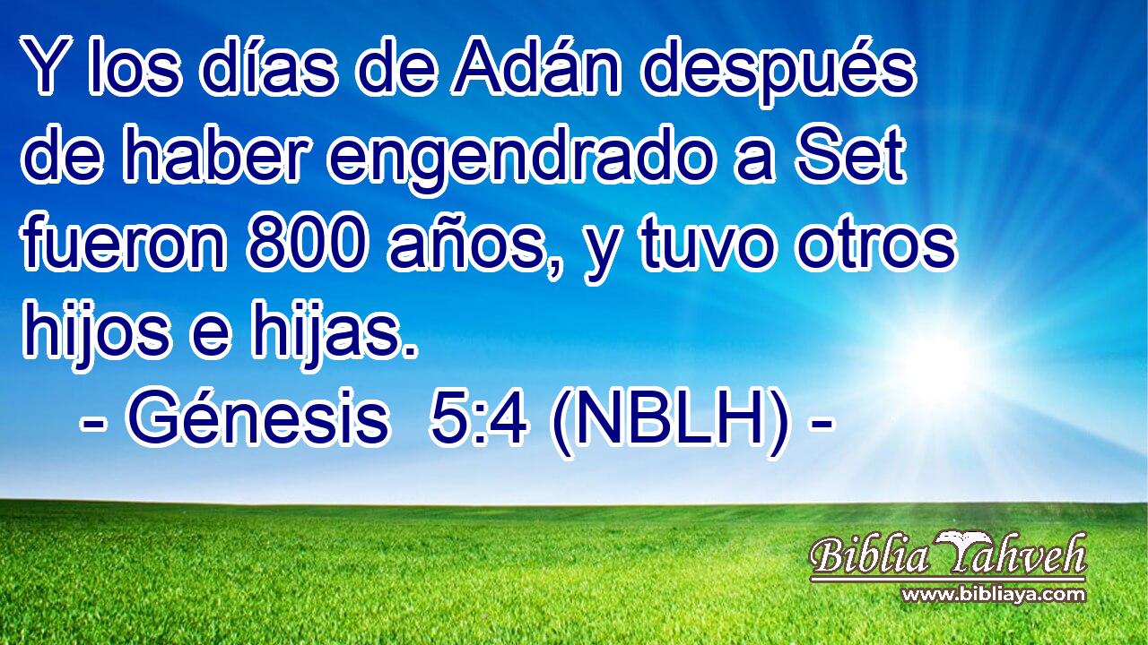  Y los días de Adán después de haber engendrado a Set fueron 800 años, y tuvo otros hijos e hijas. 