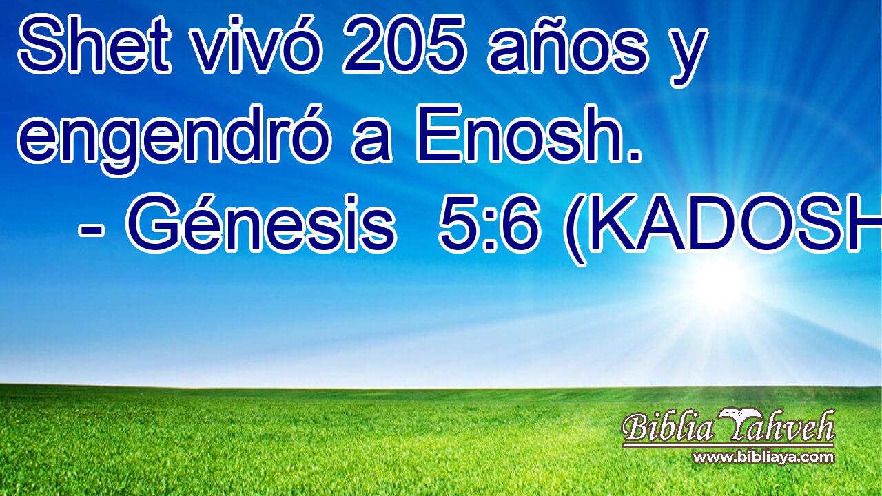  Shet vivó 205 años y engendró a Enosh. 