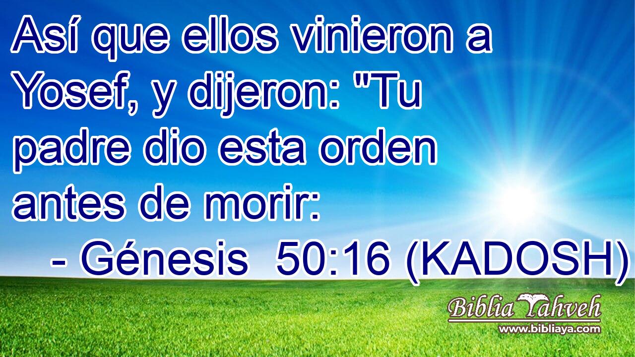  Así que ellos vinieron a Yosef, y dijeron: 