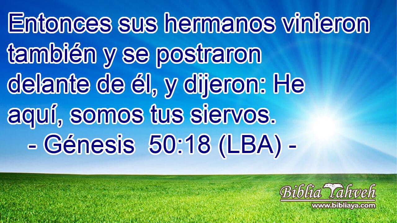 Entonces sus hermanos vinieron también y se postraron delante de él, y dijeron: He aquí, somos tus siervos.