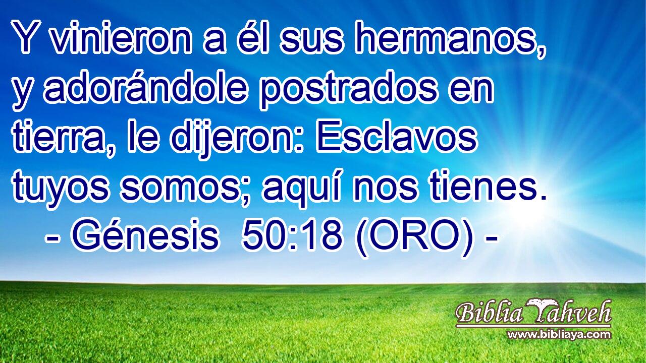  Y vinieron a él sus hermanos, y adorándole postrados en tierra, le dijeron: Esclavos tuyos somos; aquí nos tienes. 