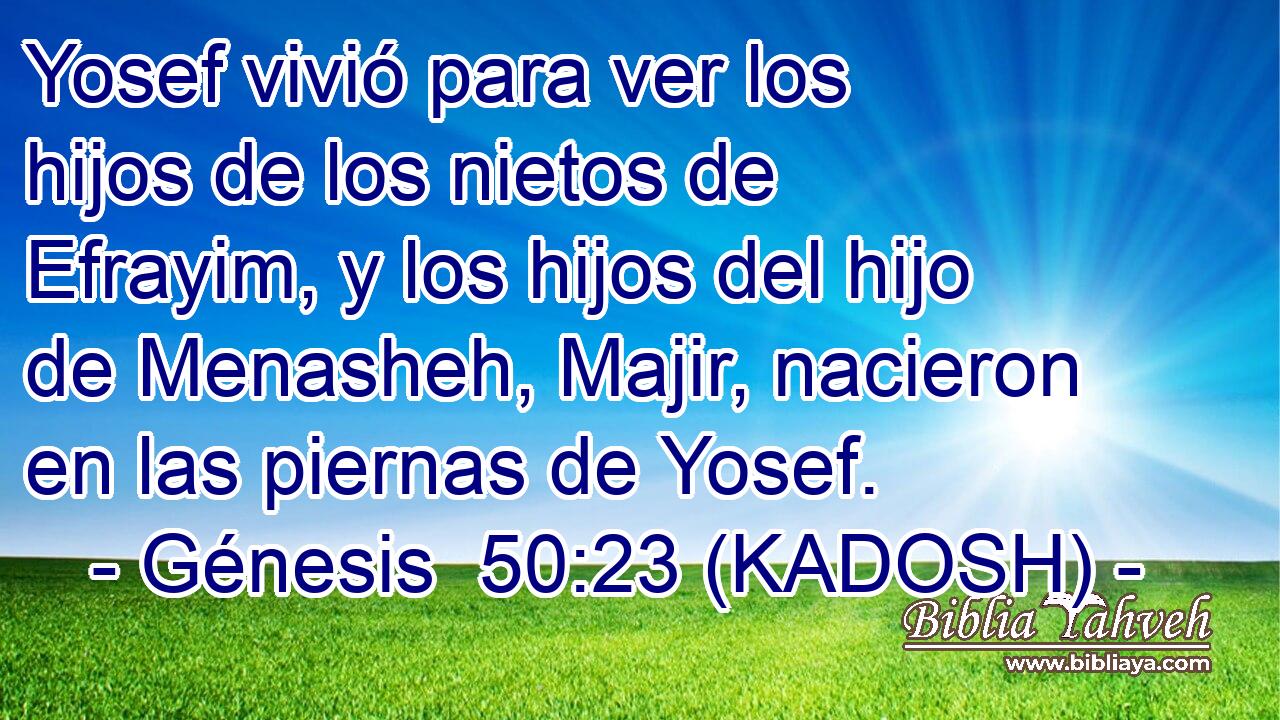  Yosef vivió para ver los hijos de los nietos de Efrayim, y los hijos del hijo de Menasheh, Majir, nacieron en las piernas de Yosef. 
