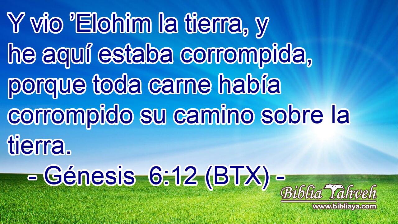 Y vio ’Elohim la tierra, y he aquí estaba corrompida, porque toda carne había corrompido su camino sobre la tierra.