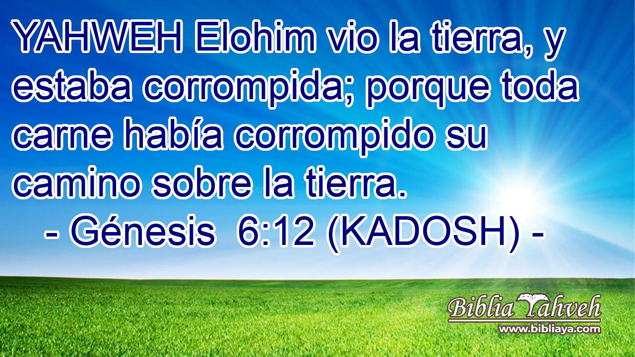  YAHWEH Elohim vio la tierra, y estaba corrompida; porque toda carne había corrompido su camino sobre la tierra. 