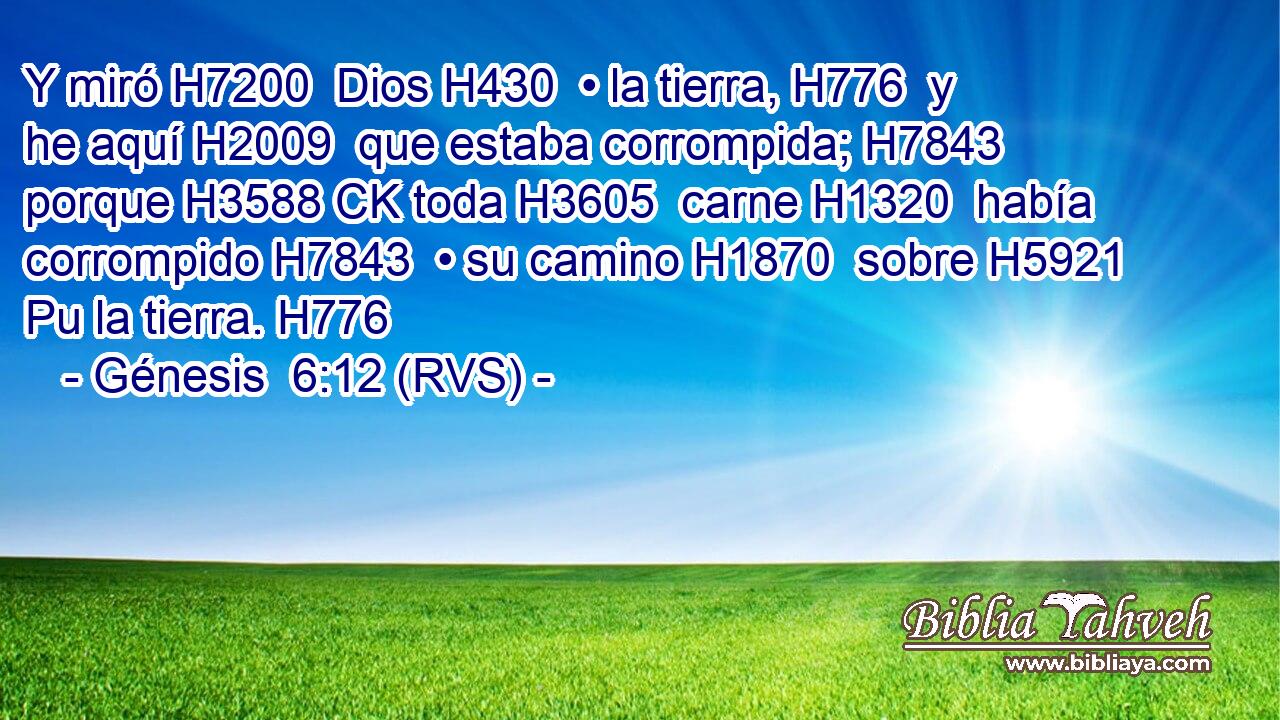 Y miró H7200  Dios H430  • la tierra, H776  y he aquí H2009  que estaba corrompida; H7843  porque H3588 CK toda H3605  carne H1320  había corrompido H7843  • su camino H1870  sobre H5921 Pu la tierra. H776  
