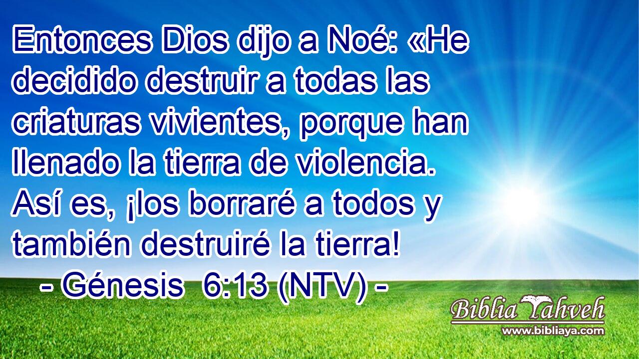 Entonces Dios dijo a Noé: «He decidido destruir a todas las criaturas vivientes, porque han llenado la tierra de violencia. Así es, ¡los borraré a todos y también destruiré la tierra!