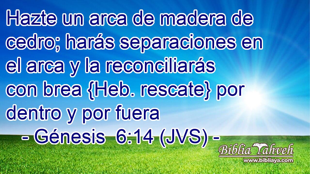 Hazte un arca de madera de cedro; harás separaciones en el arca y la reconciliarás con brea {Heb. rescate} por dentro y por fuera