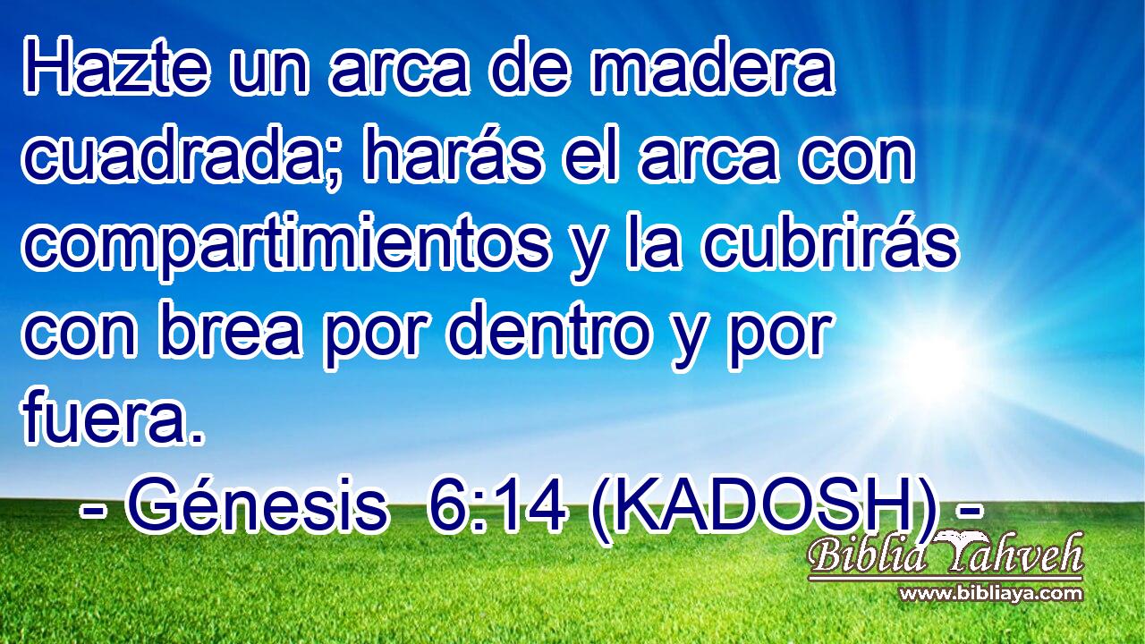 Hazte un arca de madera cuadrada; harás el arca con compartimientos y la cubrirás con brea por dentro y por fuera. 
