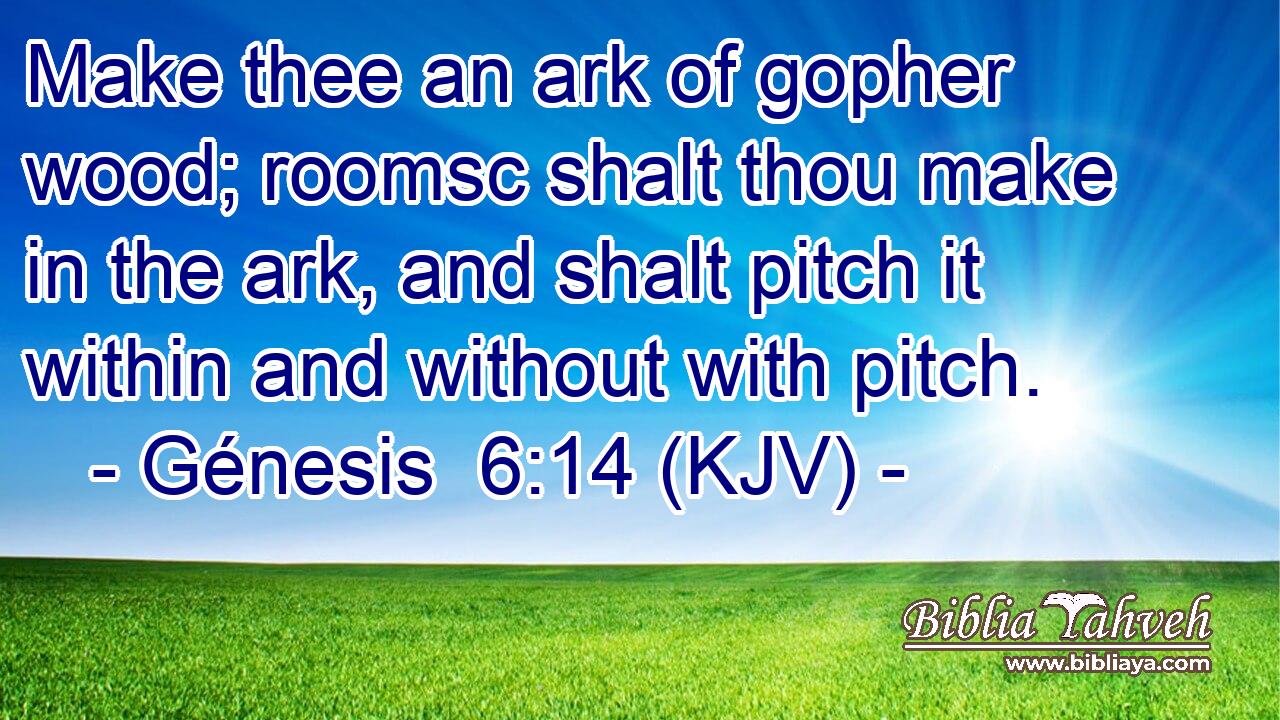 Make thee an ark of gopher wood; roomsc shalt thou make in the ark, and shalt pitch it within and without with pitch.