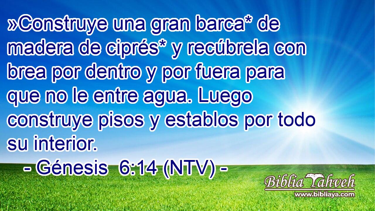 »Construye una gran barca* de madera de ciprés* y recúbrela con brea por dentro y por fuera para que no le entre agua. Luego construye pisos y establos por todo su interior.