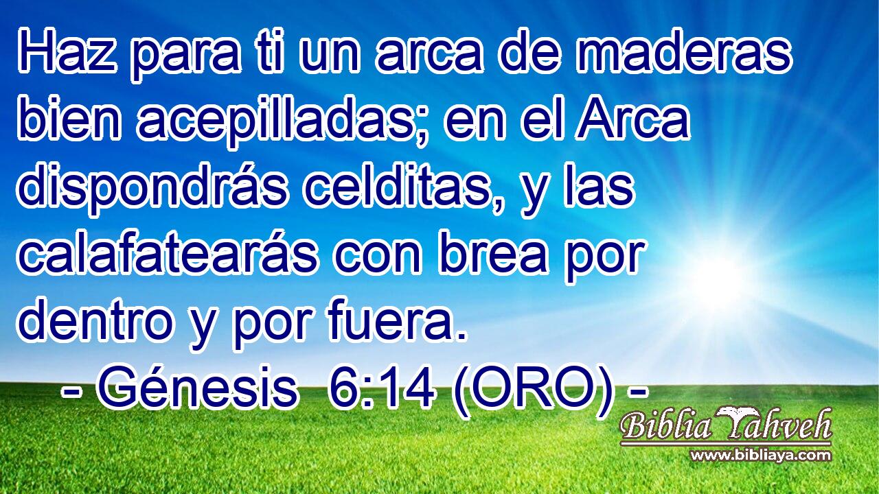  Haz para ti un arca de maderas bien acepilladas; en el Arca dispondrás celditas, y las calafatearás con brea por dentro y por fuera. 