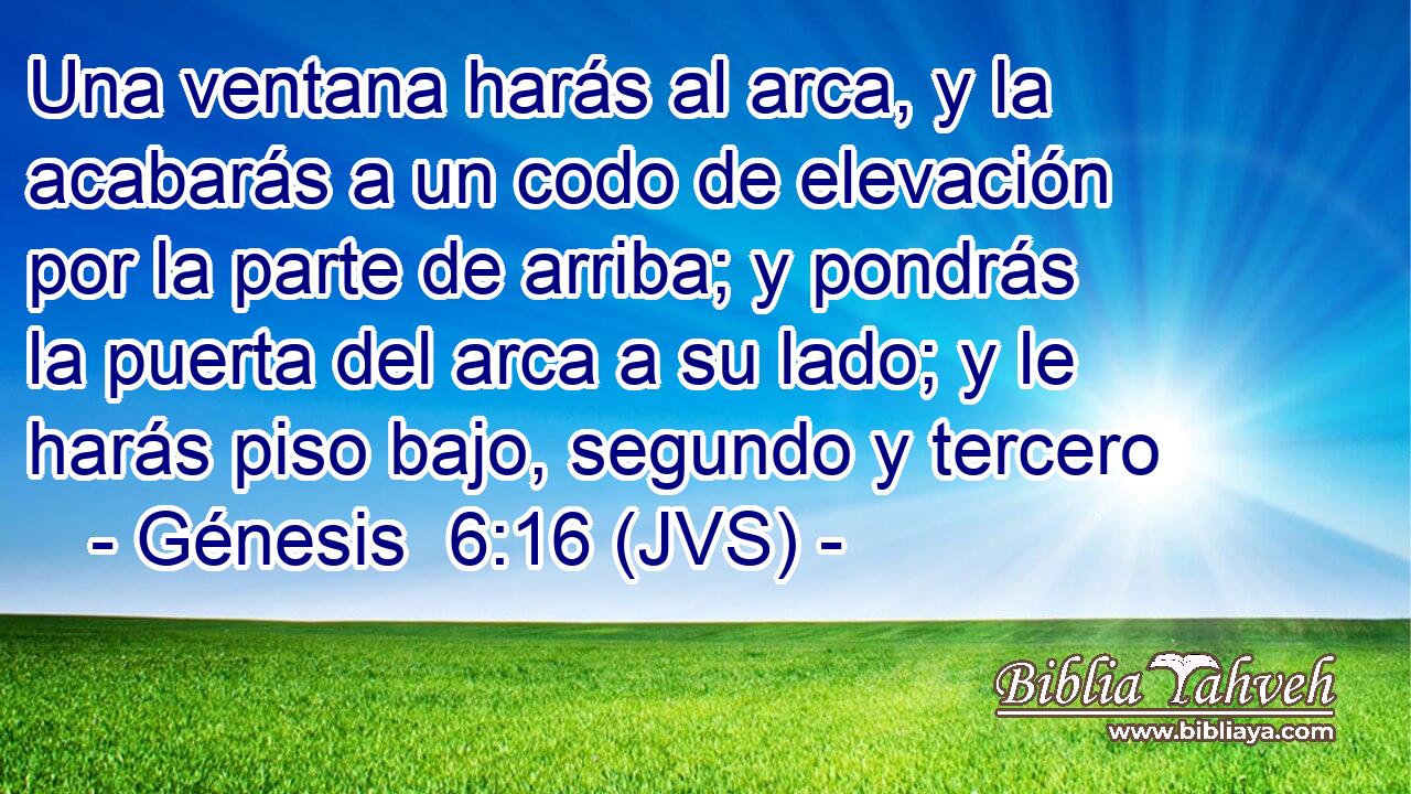 Una ventana harás al arca, y la acabarás a un codo de elevación por la parte de arriba; y pondrás la puerta del arca a su lado; y le harás piso bajo, segundo y tercero