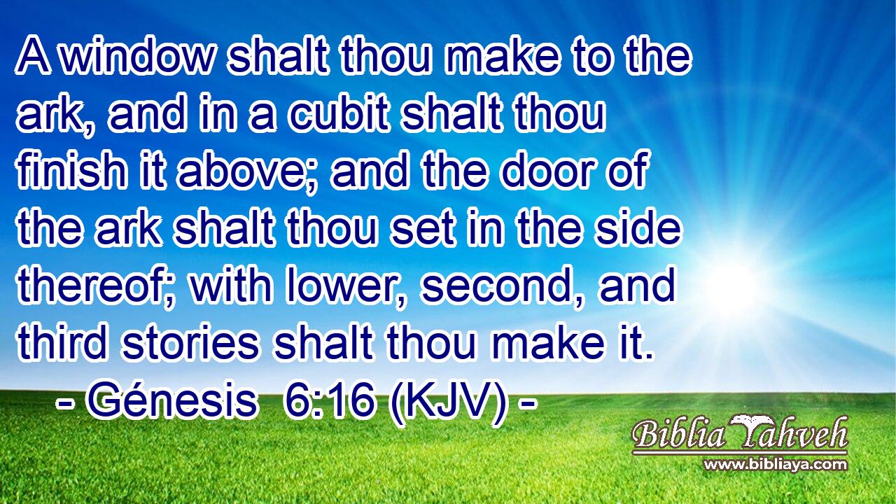 A window shalt thou make to the ark, and in a cubit shalt thou finish it above; and the door of the ark shalt thou set in the side thereof; with lower, second, and third stories shalt thou make it.