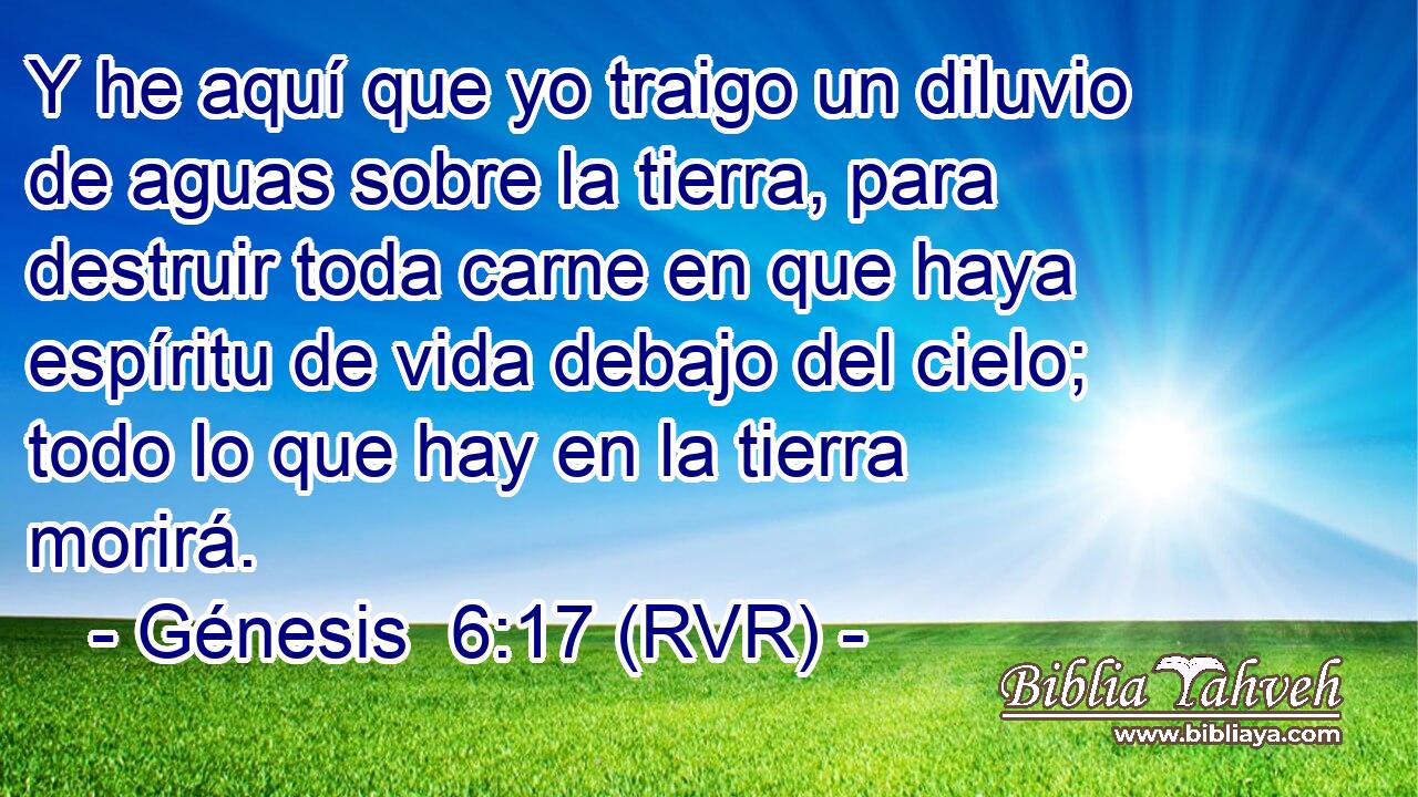 Y he aquí que yo traigo un diluvio de aguas sobre la tierra, para destruir toda carne en que haya espíritu de vida debajo del cielo; todo lo que hay en la tierra morirá.