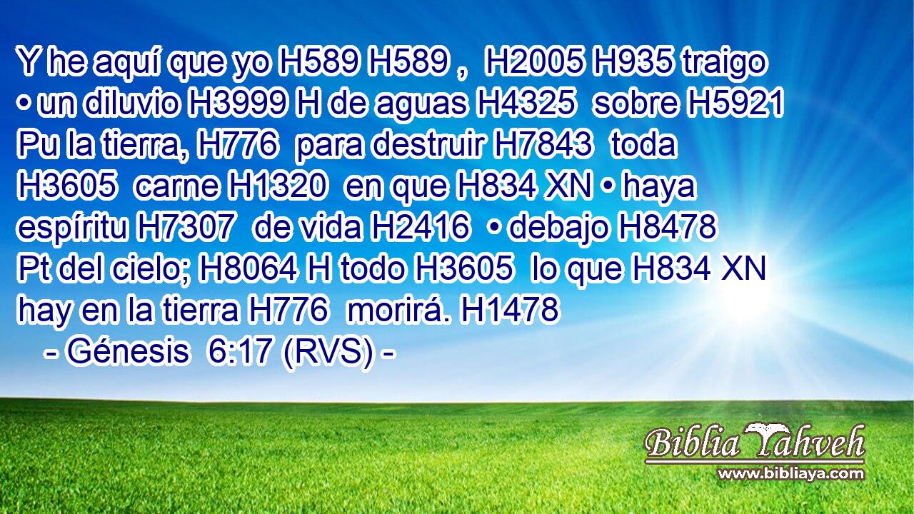 Y he aquí que yo H589 H589 ,  H2005 H935 traigo • un diluvio H3999 H de aguas H4325  sobre H5921 Pu la tierra, H776  para destruir H7843  toda H3605  carne H1320  en que H834 XN • haya espíritu H7307  de vida H2416  • debajo H8478 Pt del cielo; H8064 H todo H3605  lo que H834 XN hay en la tierra H776  morirá. H1478  