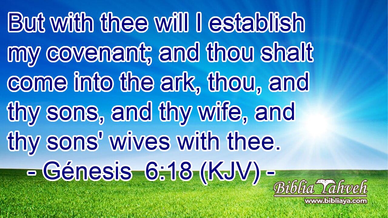 But with thee will I establish my covenant; and thou shalt come into the ark, thou, and thy sons, and thy wife, and thy sons' wives with thee.