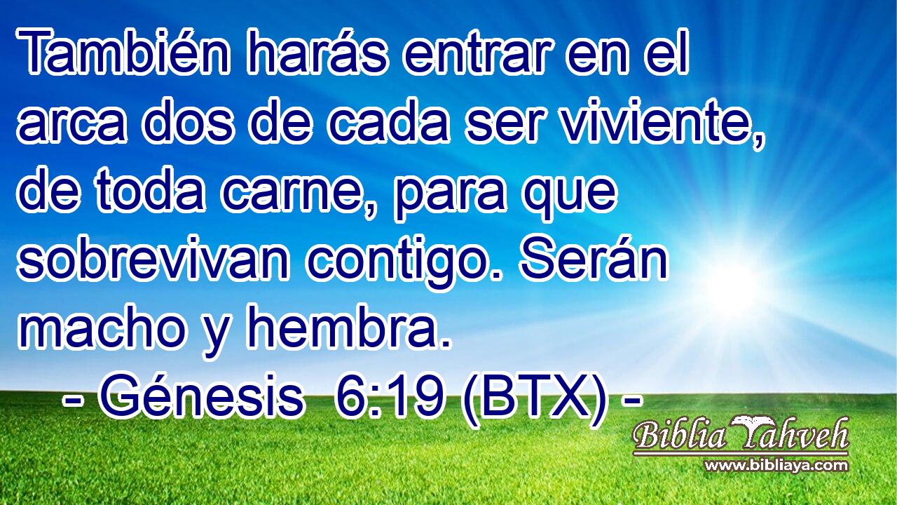 También harás entrar en el arca dos de cada ser viviente, de toda carne, para que sobrevivan contigo. Serán macho y hembra.