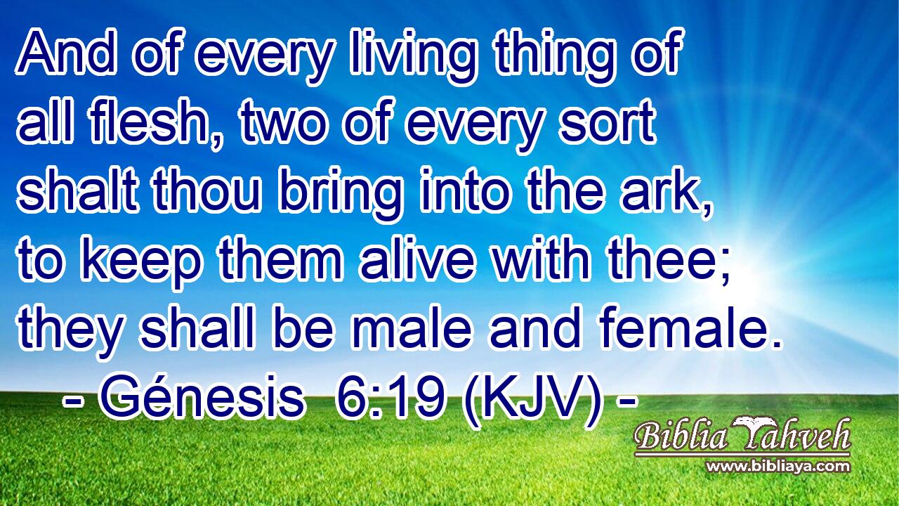 And of every living thing of all flesh, two of every sort shalt thou bring into the ark, to keep them alive with thee; they shall be male and female.