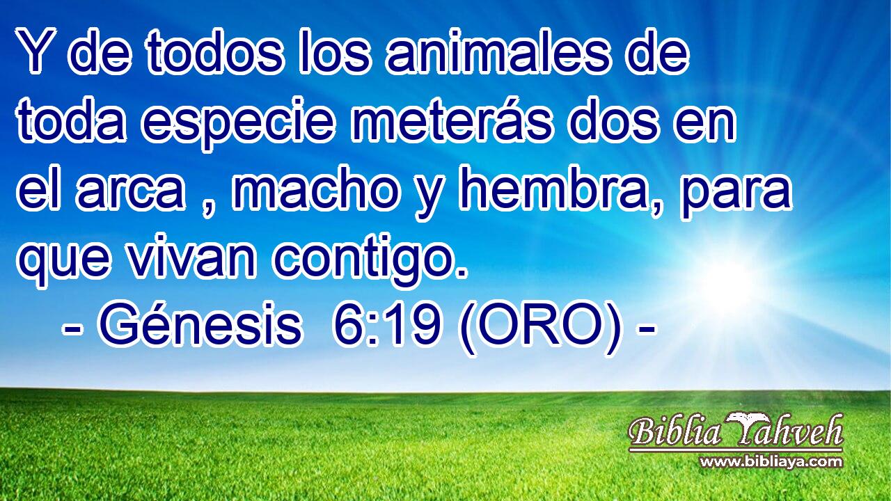  Y de todos los animales de toda especie meterás dos en el arca , macho y hembra, para que vivan contigo. 