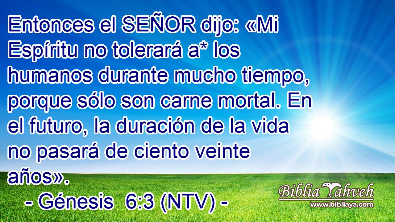 Entonces el SEÑOR dijo: «Mi Espíritu no tolerará a* los humanos durante mucho tiempo, porque sólo son carne mortal. En el futuro, la duración de la vida no pasará de ciento veinte años».