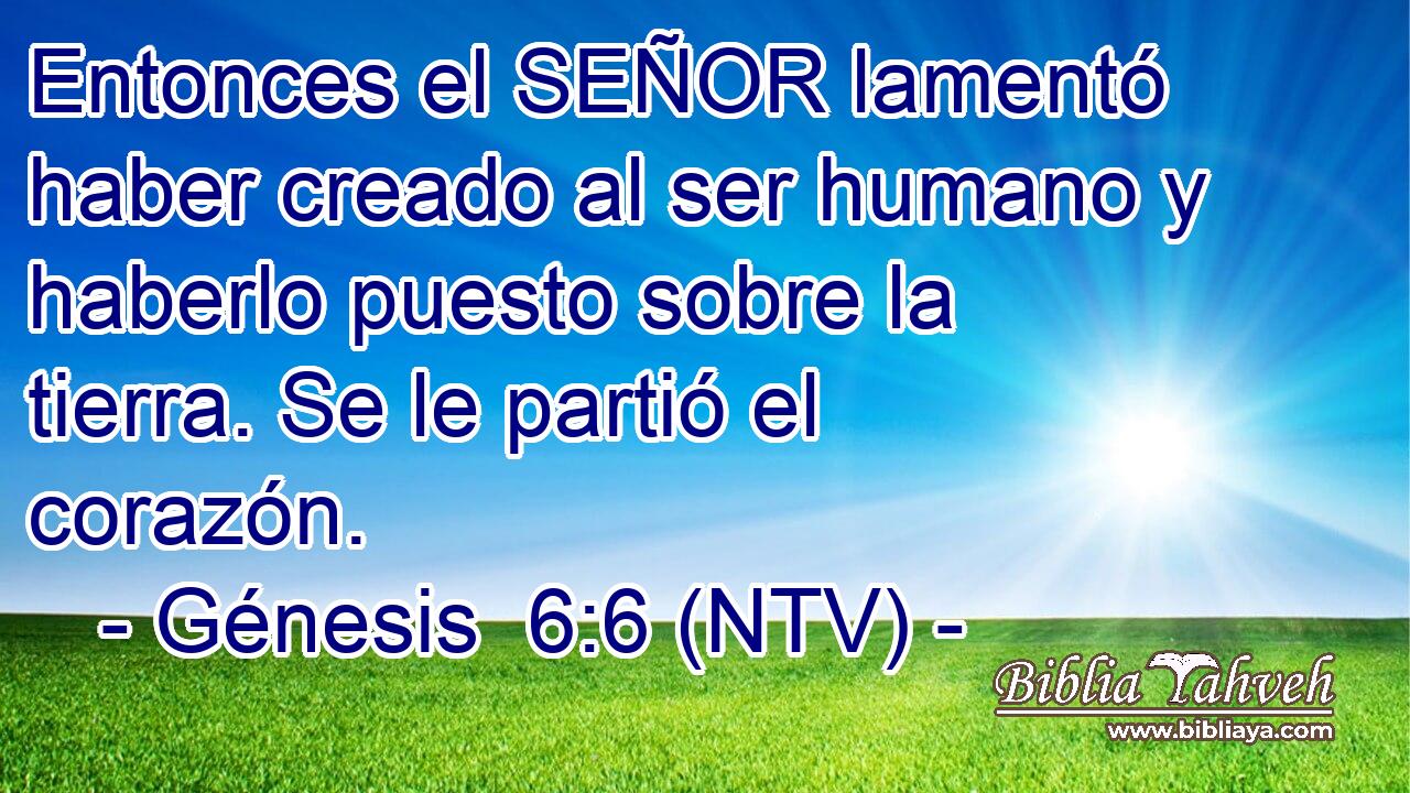 Entonces el SEÑOR lamentó haber creado al ser humano y haberlo puesto sobre la tierra. Se le partió el corazón.