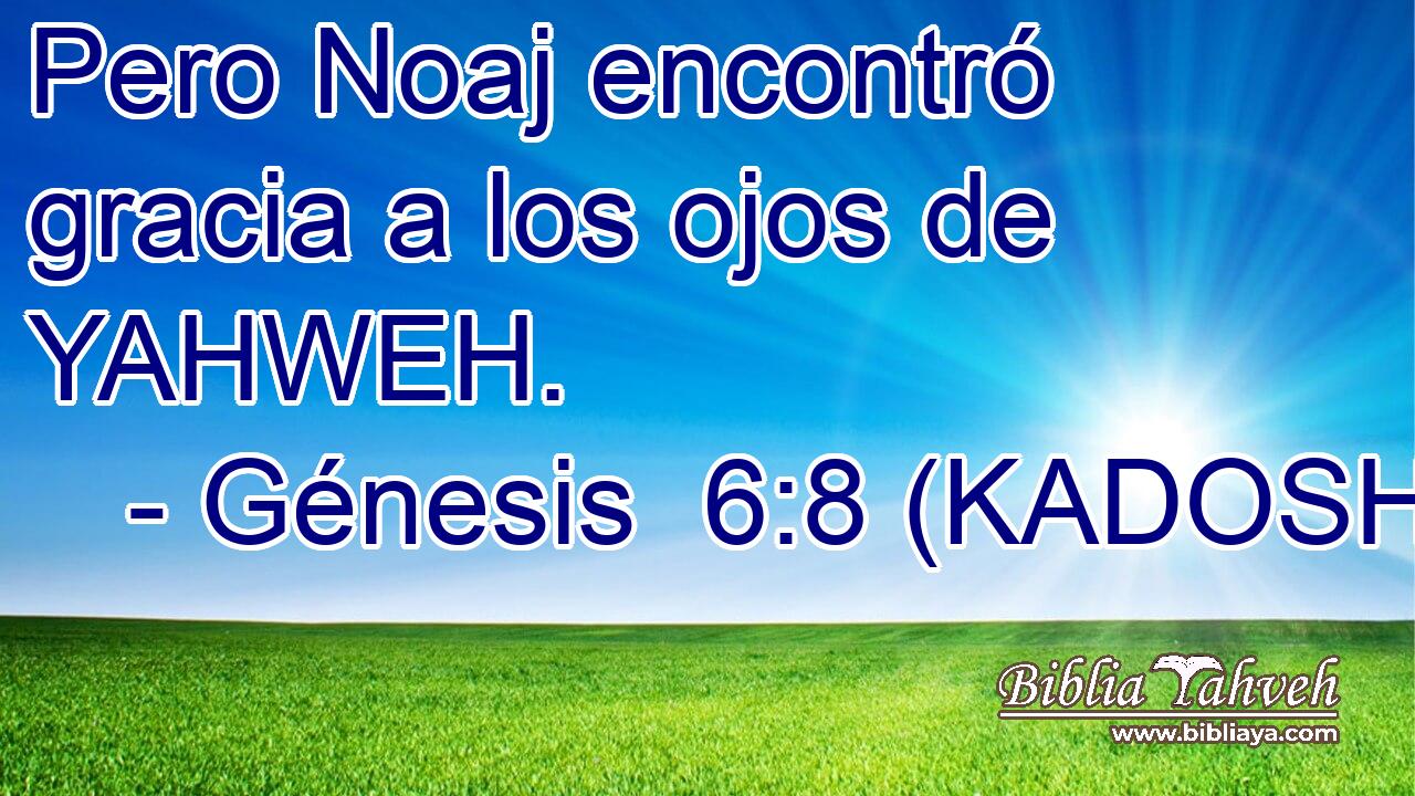  Pero Noaj encontró gracia a los ojos de YAHWEH. 
