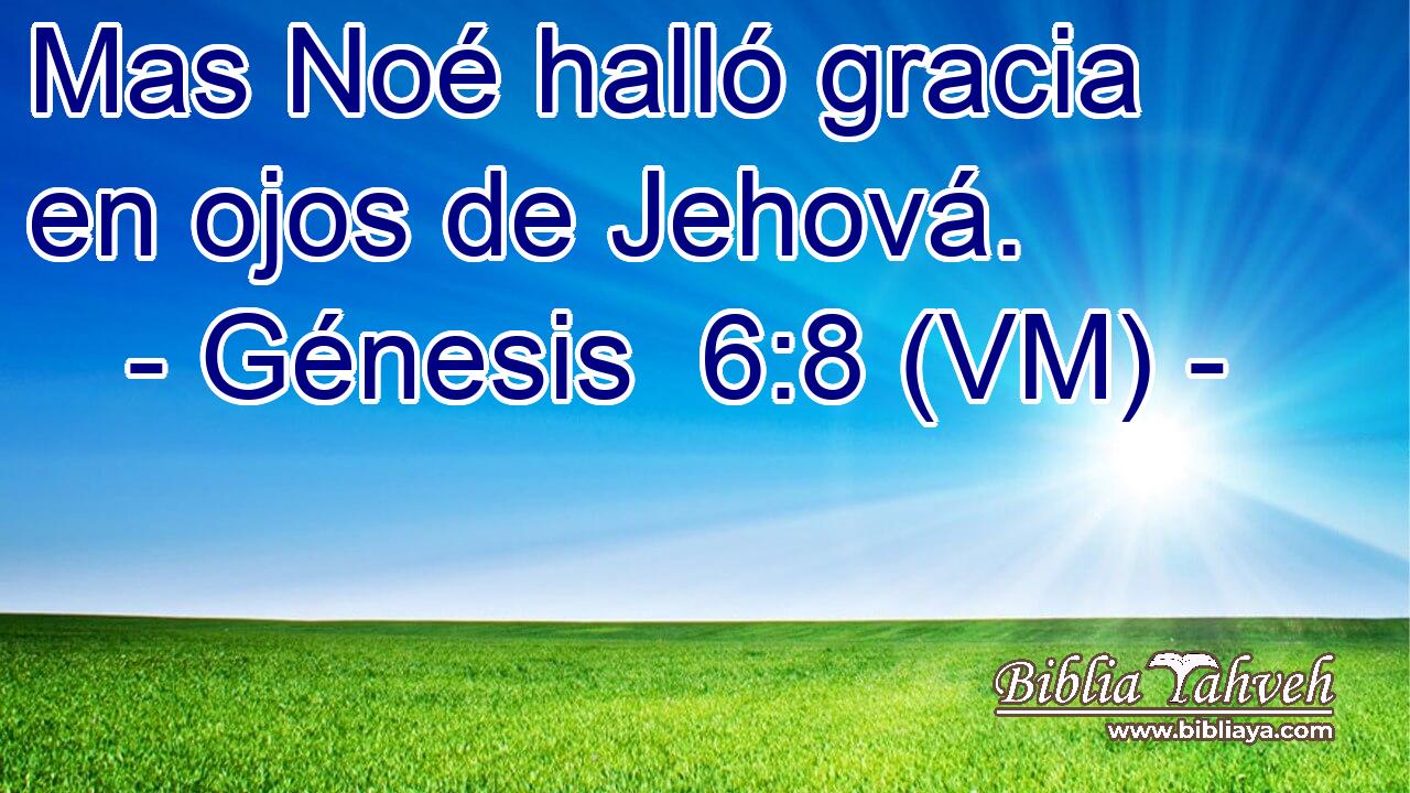  Mas Noé halló gracia en ojos de Jehová. 