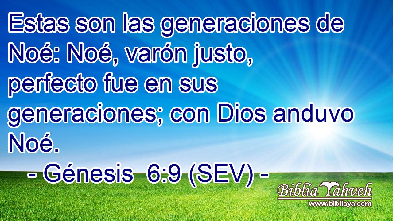 Estas son las generaciones de Noé: Noé, varón justo, perfecto fue en sus generaciones; con Dios anduvo Noé.