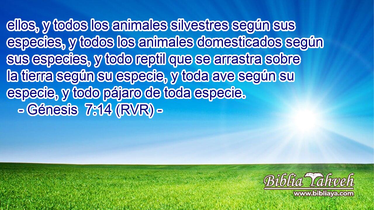 ellos, y todos los animales silvestres según sus especies, y todos los animales domesticados según sus especies, y todo reptil que se arrastra sobre la tierra según su especie, y toda ave según su especie, y todo pájaro de toda especie.