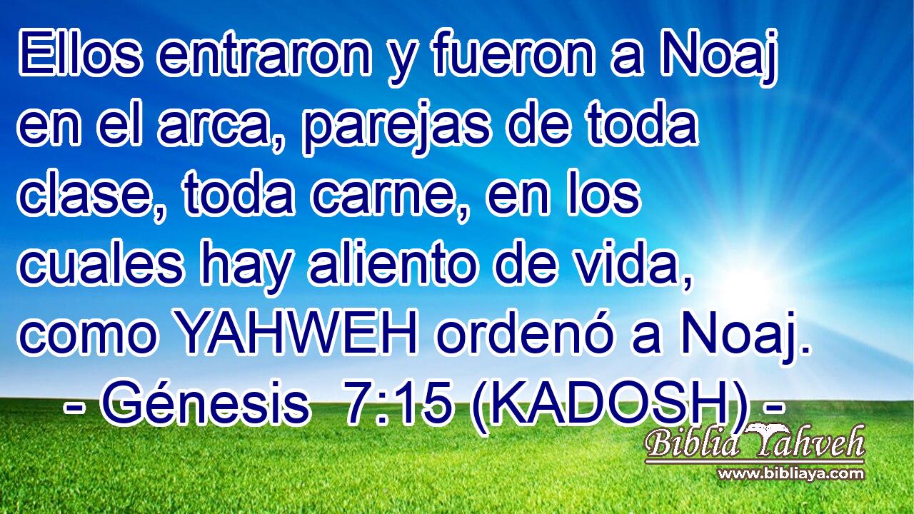  Ellos entraron y fueron a Noaj en el arca, parejas de toda clase, toda carne, en los cuales hay aliento de vida, como YAHWEH ordenó a Noaj. 