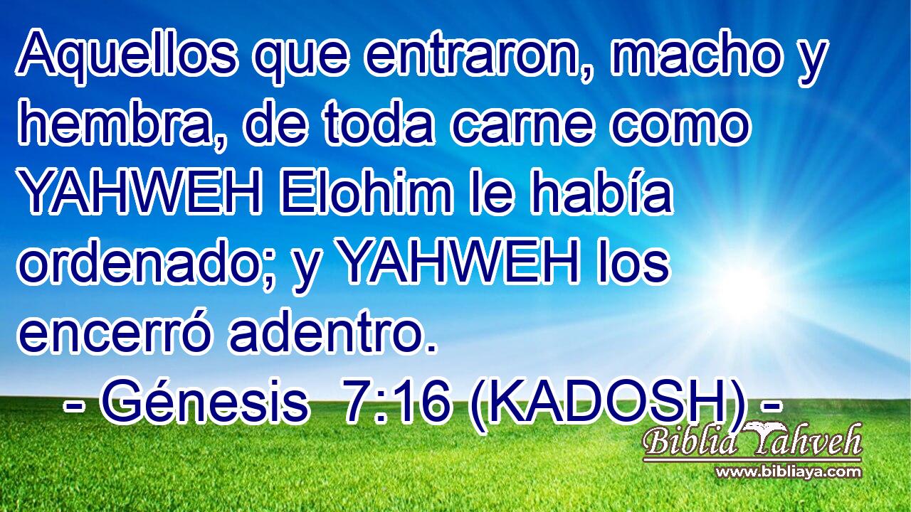  Aquellos que entraron, macho y hembra, de toda carne como YAHWEH Elohim le había ordenado; y YAHWEH los encerró adentro. 