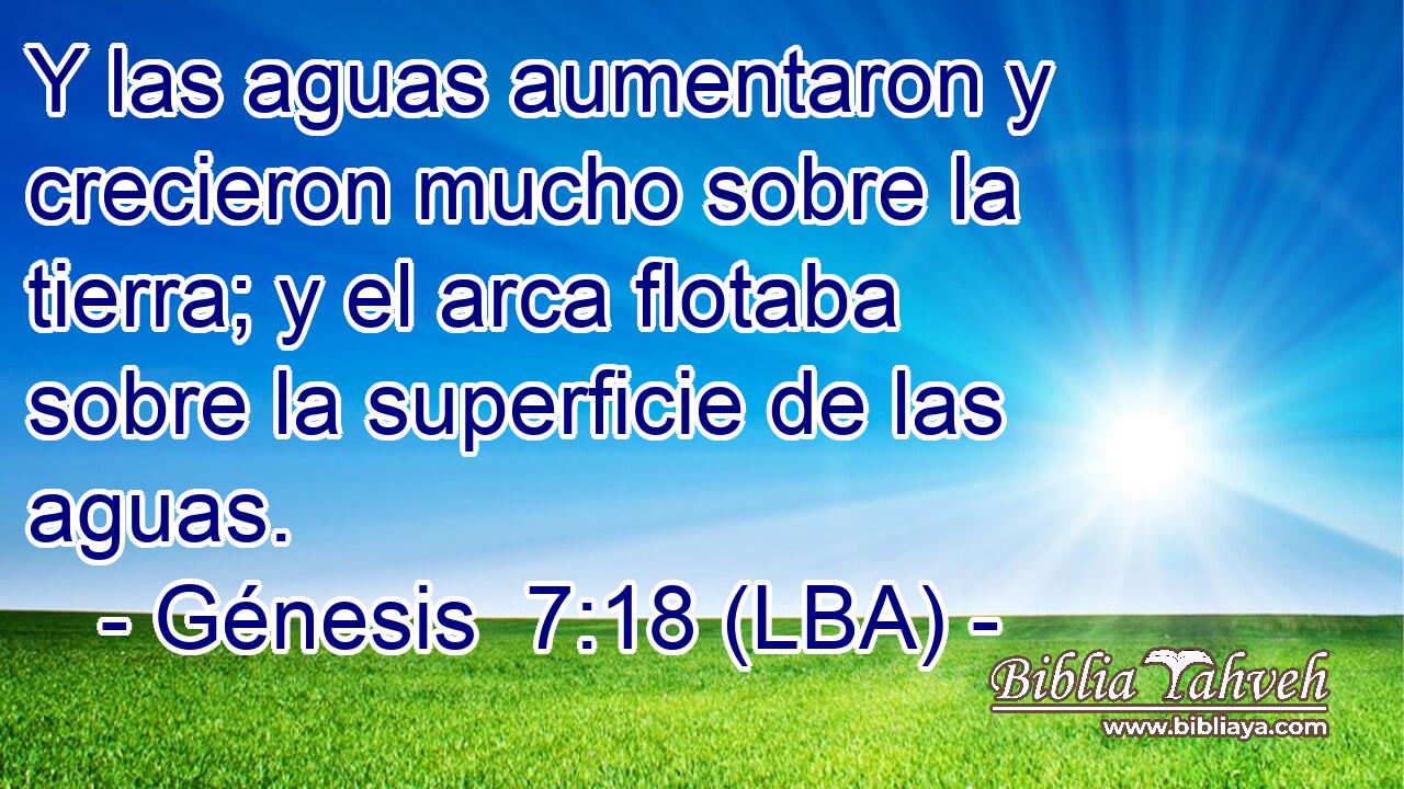 Y las aguas aumentaron y crecieron mucho sobre la tierra; y el arca flotaba sobre la superficie de las aguas.