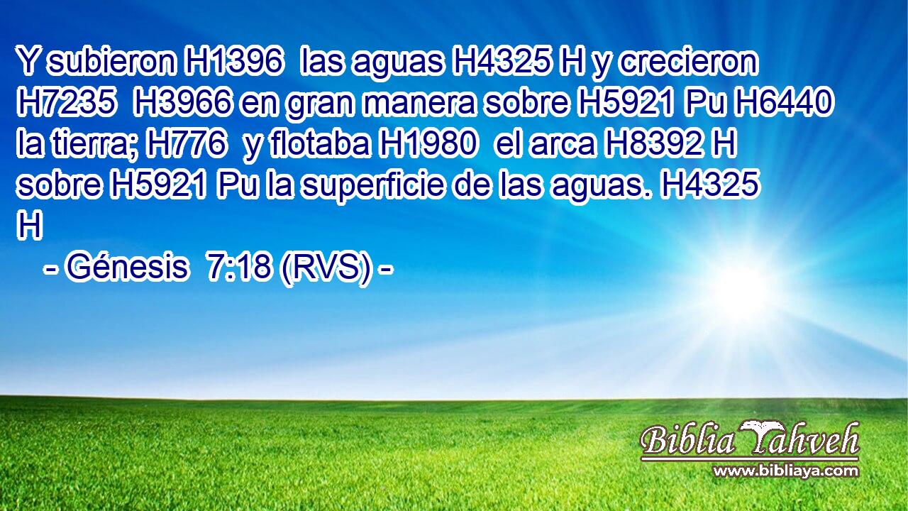 Y subieron H1396  las aguas H4325 H y crecieron H7235  H3966 en gran manera sobre H5921 Pu H6440 la tierra; H776  y flotaba H1980  el arca H8392 H sobre H5921 Pu la superficie de las aguas. H4325 H 