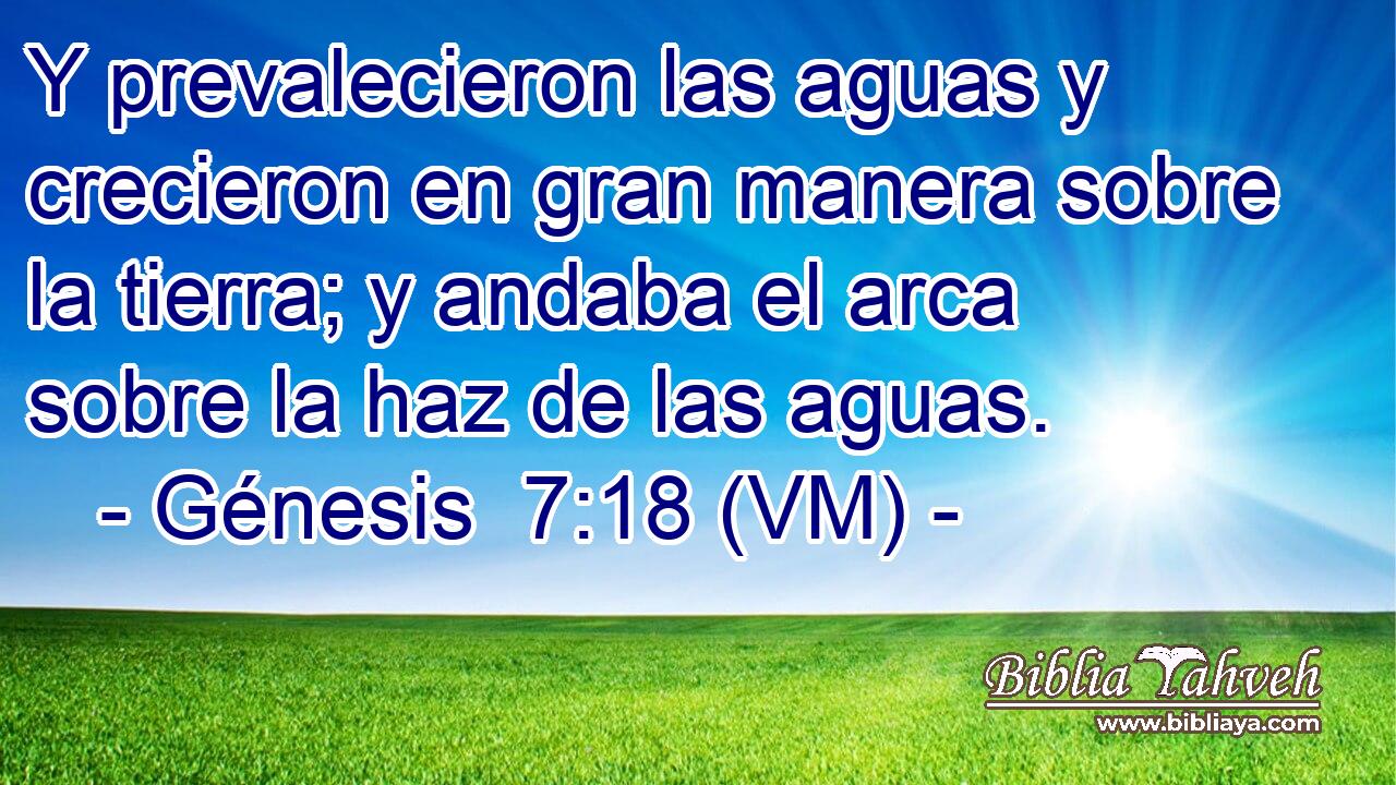  Y prevalecieron las aguas y crecieron en gran manera sobre la tierra; y andaba el arca sobre la haz de las aguas. 