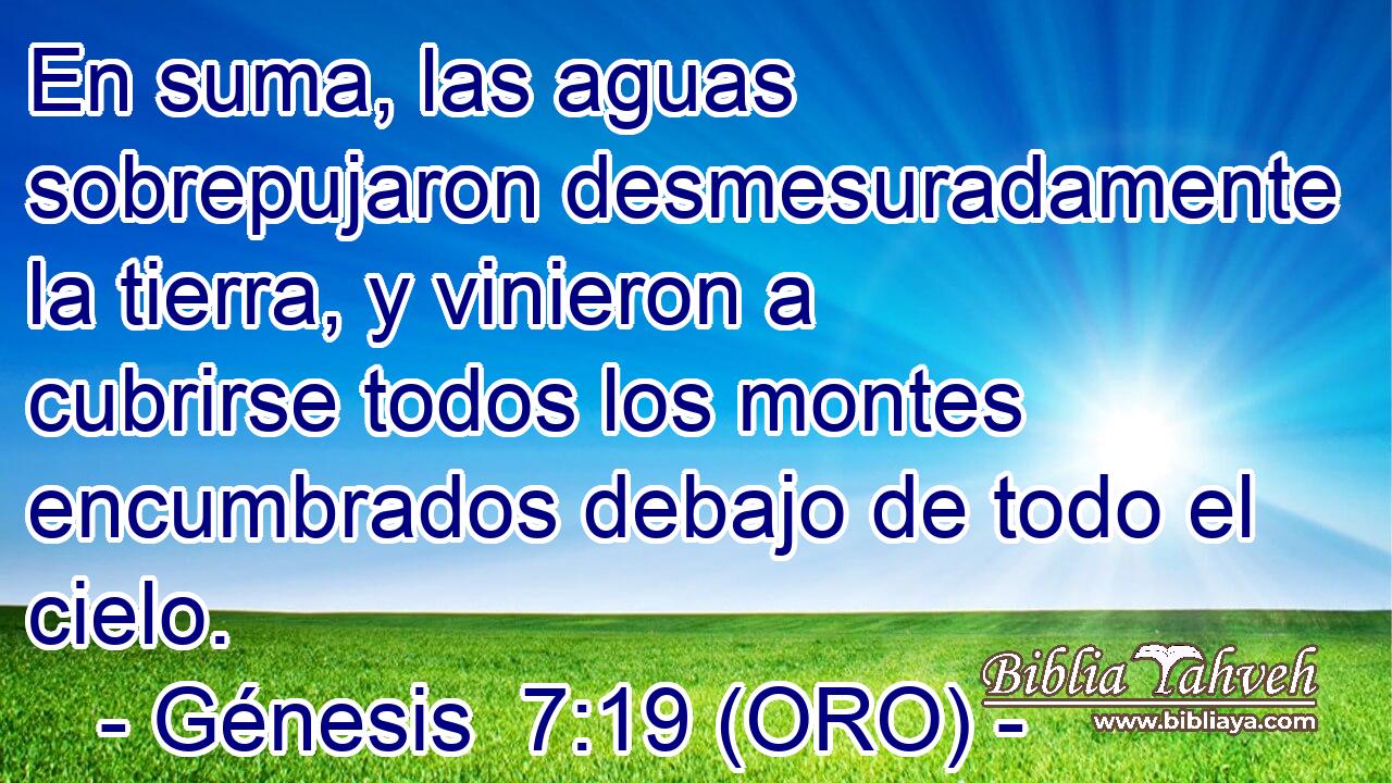  En suma, las aguas sobrepujaron desmesuradamente la tierra, y vinieron a cubrirse todos los montes encumbrados debajo de todo el cielo. 