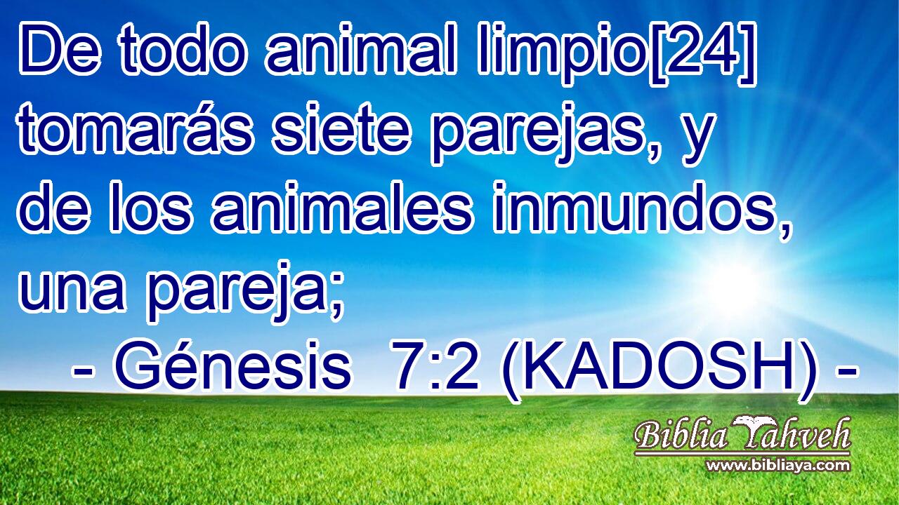  De todo animal limpio[24] tomarás siete parejas, y de los animales inmundos, una pareja; 