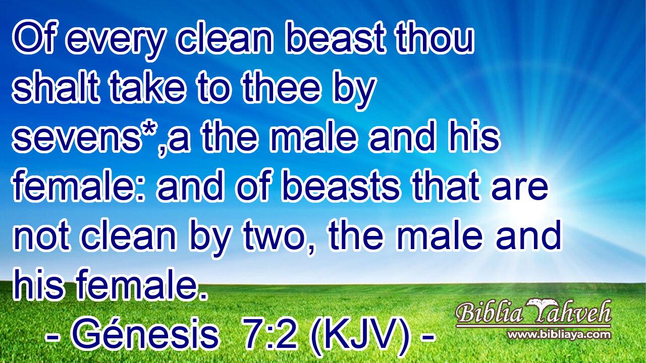 Of every clean beast thou shalt take to thee by sevens*,a the male and his female: and of beasts that are not clean by two, the male and his female.