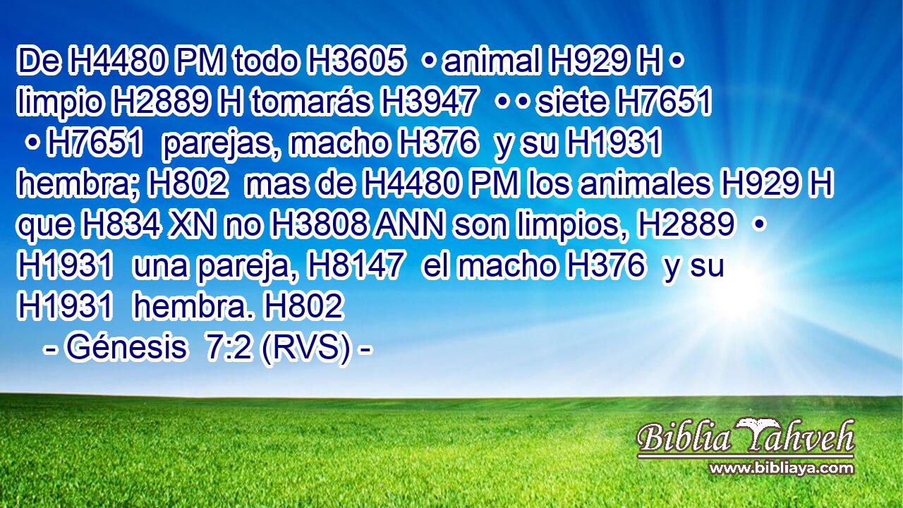 De H4480 PM todo H3605  • animal H929 H • limpio H2889 H tomarás H3947  • • siete H7651  • H7651  parejas, macho H376  y su H1931  hembra; H802  mas de H4480 PM los animales H929 H que H834 XN no H3808 ANN son limpios, H2889  • H1931  una pareja, H8147  el macho H376  y su H1931  hembra. H802  