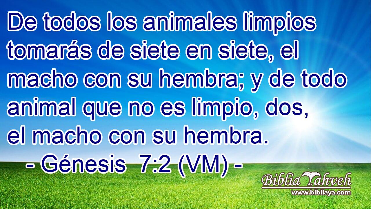  De todos los animales limpios tomarás de siete en siete, el macho con su hembra; y de todo animal que no es limpio, dos, el macho con su hembra. 
