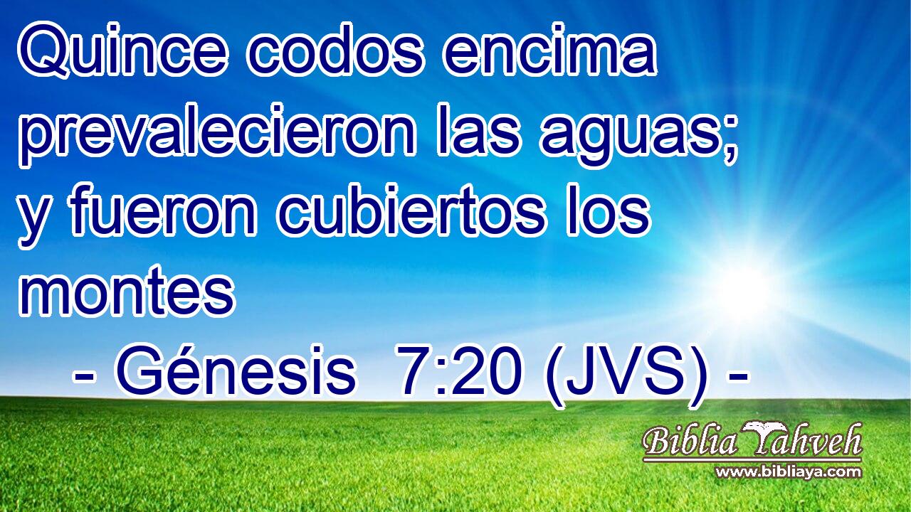 Quince codos encima prevalecieron las aguas; y fueron cubiertos los montes